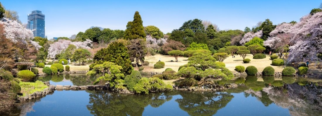 Tokyo Shinjuku Gyoen National Gardens
